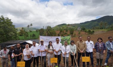 Pengembangan Hortikultura Berorientasi Ekspor