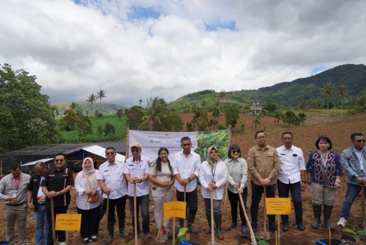 Pengembangan Hortikultura Berorientasi Ekspor